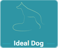 Ideal Dog